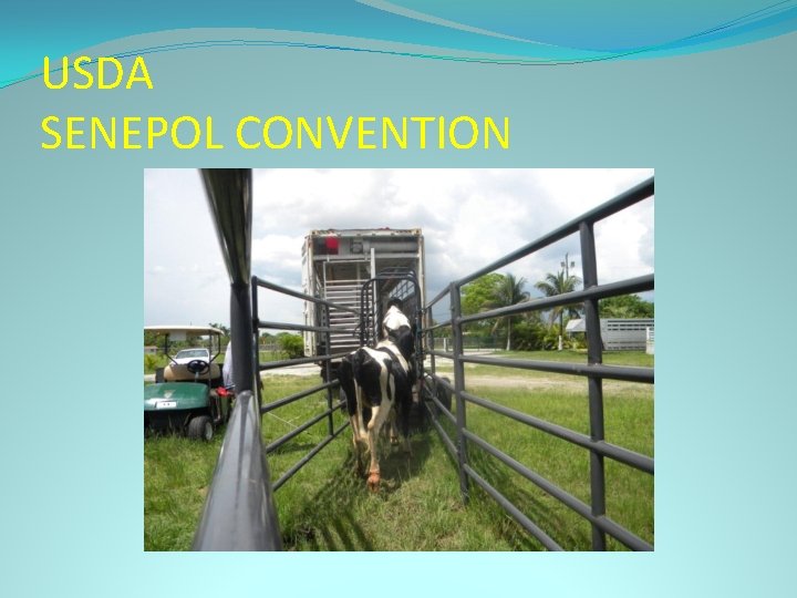 USDA SENEPOL CONVENTION 