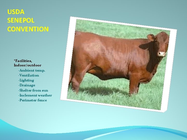 USDA SENEPOL CONVENTION *Facilities, Indoor/outdoor -Ambient temp. -Ventilation -Lighting -Drainage -Shelter from sun -Inclement