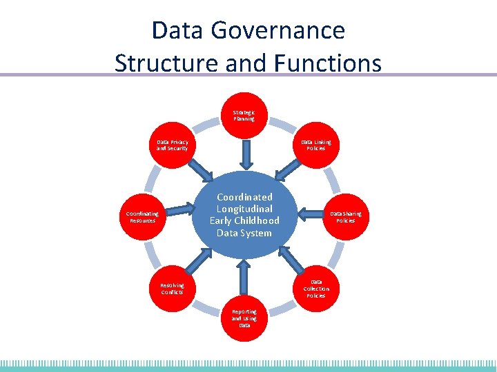 Data Governance Structure and Functions Strategic Planning Data Privacy and Security Data Linking Policies