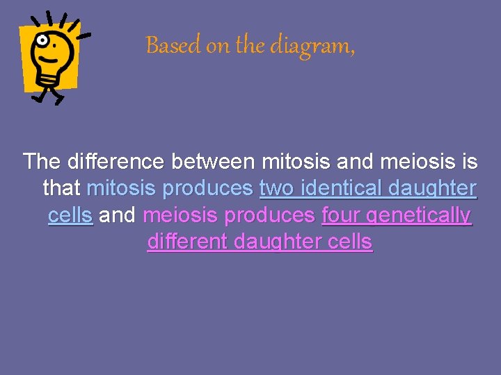 Based on the diagram, The difference between mitosis and meiosis is that mitosis produces