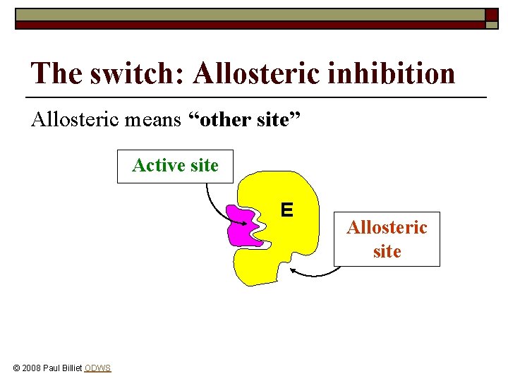 The switch: Allosteric inhibition Allosteric means “other site” Active site E © 2008 Paul