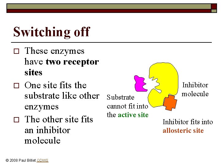 Switching off o o o These enzymes have two receptor sites One site fits