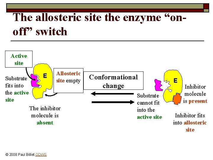 The allosteric site the enzyme “onoff” switch Active site Substrate fits into the active