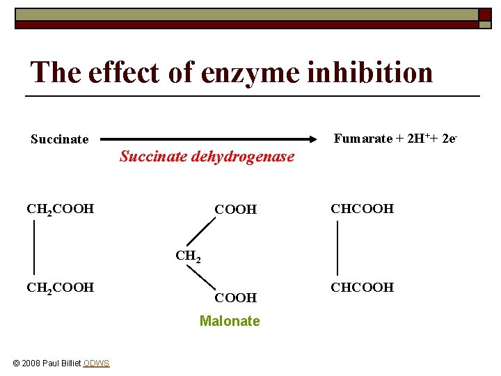 The effect of enzyme inhibition Succinate Fumarate + 2 H++ 2 e- Succinate dehydrogenase