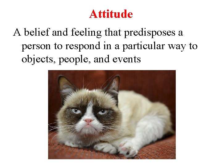 Attitude A belief and feeling that predisposes a person to respond in a particular