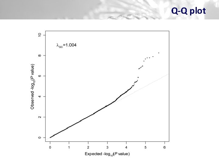 Q-Q plot 