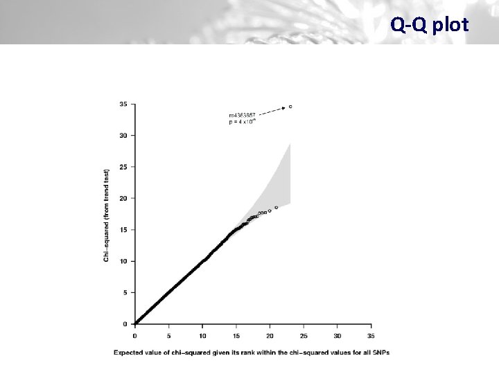 Q-Q plot 