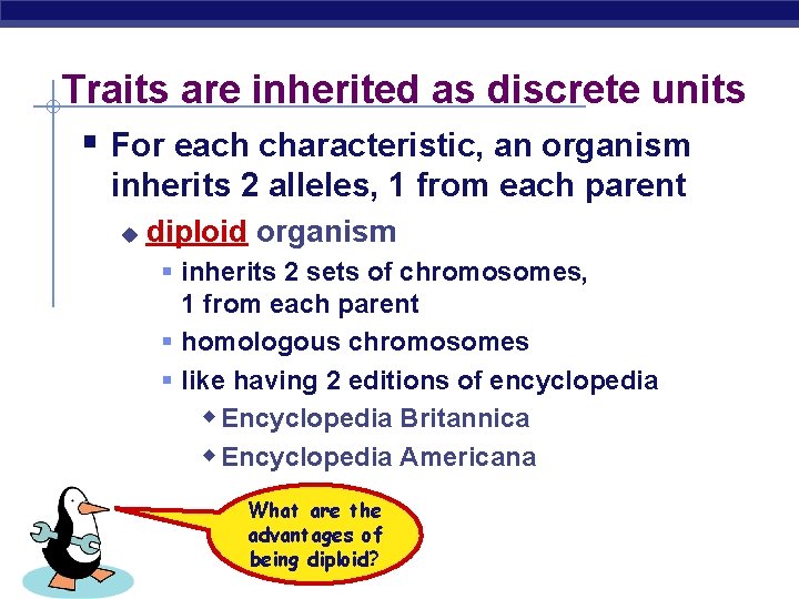 Traits are inherited as discrete units § For each characteristic, an organism inherits 2