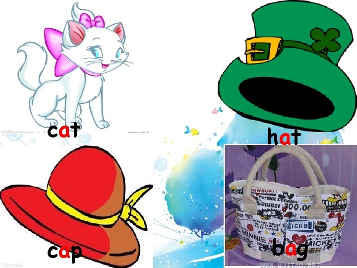 cat hat cap bag 