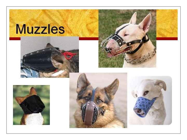 Muzzles 
