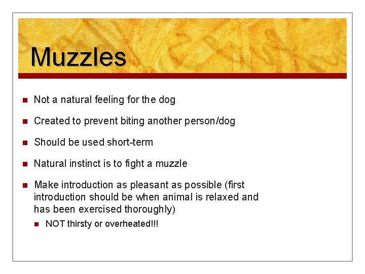 Muzzles n Not a natural feeling for the dog n Created to prevent biting