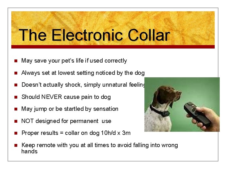 The Electronic Collar n May save your pet’s life if used correctly n Always