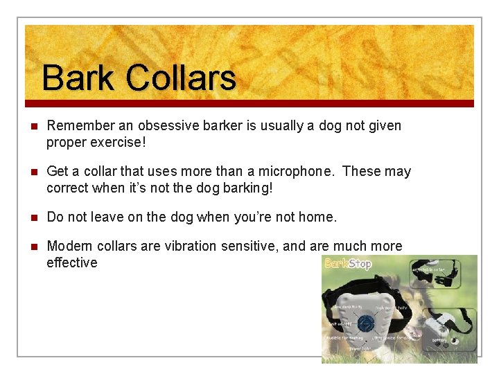 Bark Collars n Remember an obsessive barker is usually a dog not given proper