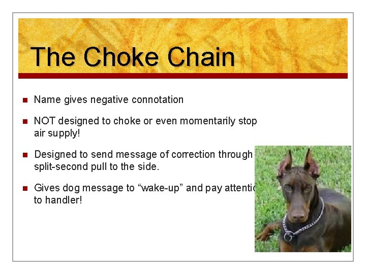 The Choke Chain n Name gives negative connotation n NOT designed to choke or