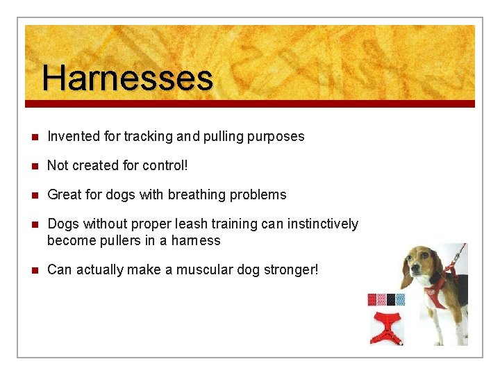 Harnesses n Invented for tracking and pulling purposes n Not created for control! n