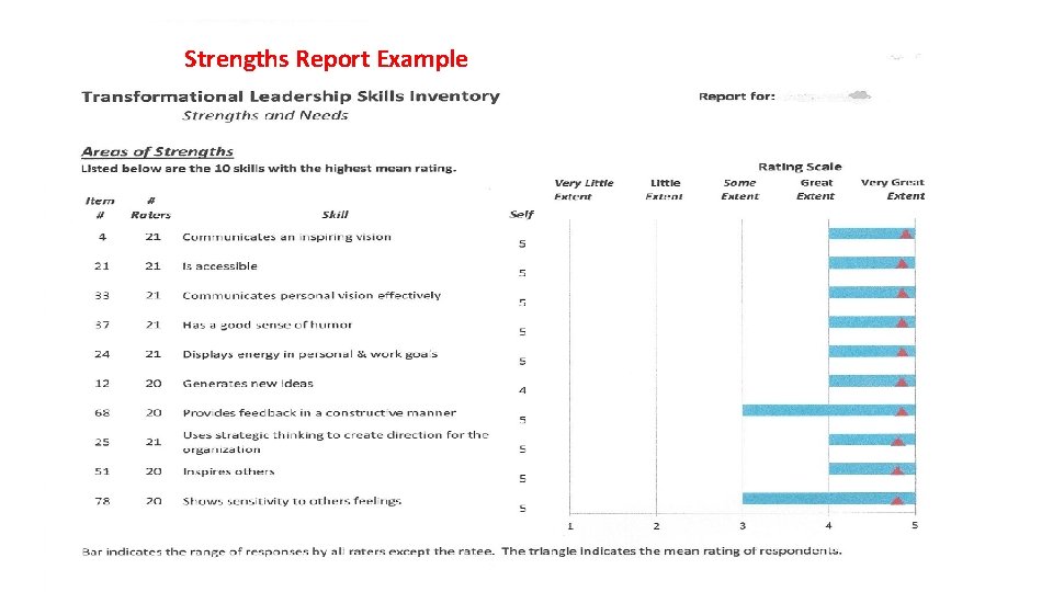 Strengths Report Example 