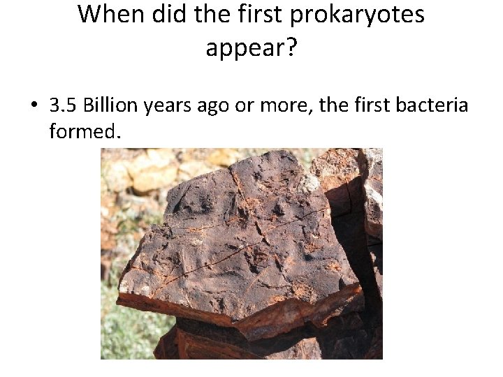 When did the first prokaryotes appear? • 3. 5 Billion years ago or more,