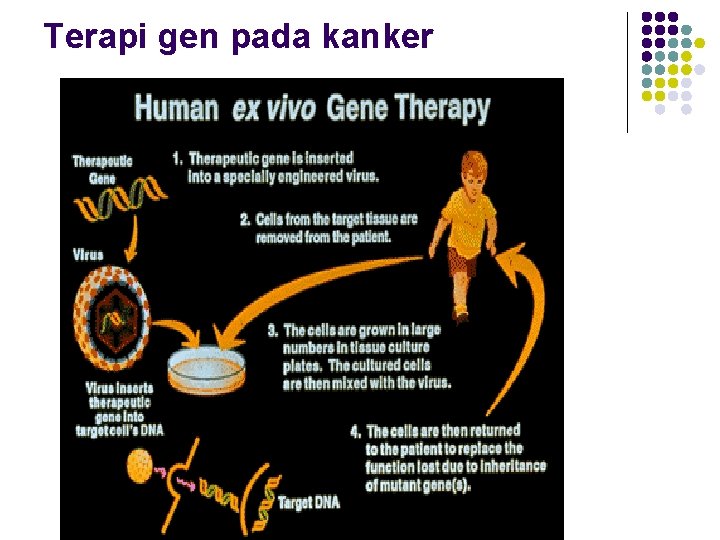 Terapi gen pada kanker 