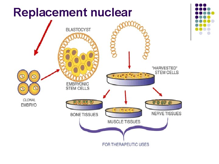 Replacement nuclear 