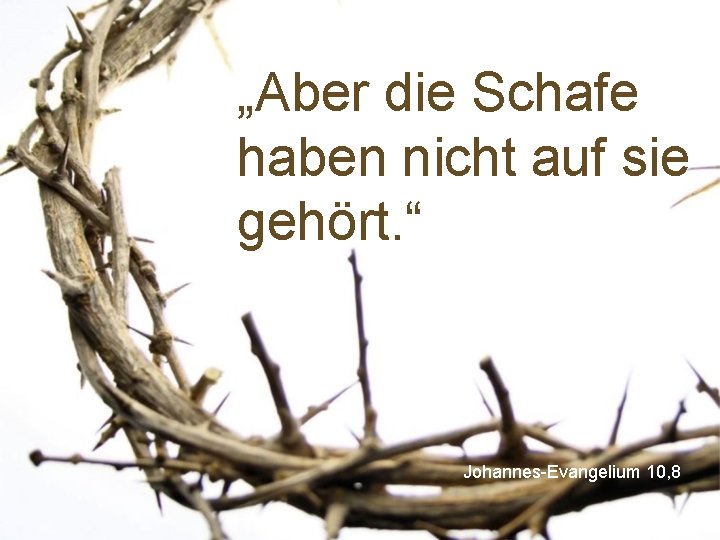 „Aber die Schafe haben nicht auf sie gehört. “ Johannes-Evangelium 10, 8 