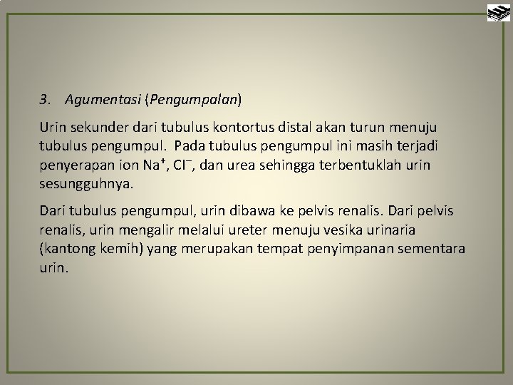 3. Agumentasi (Pengumpalan) Urin sekunder dari tubulus kontortus distal akan turun menuju tubulus pengumpul.