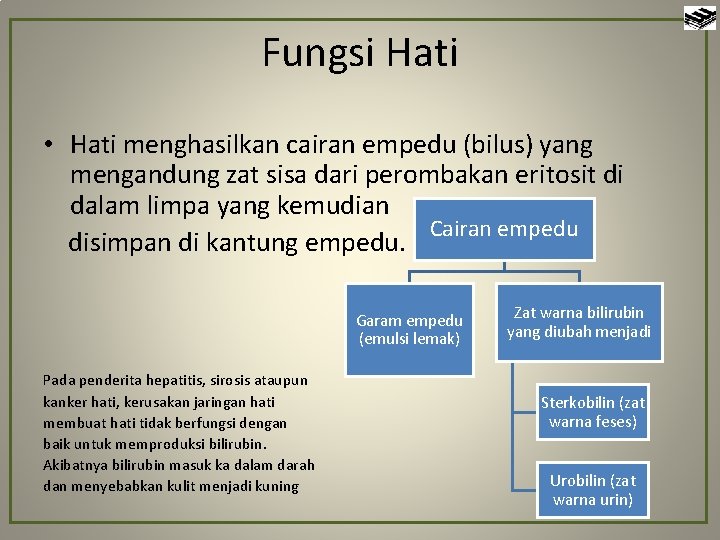 Fungsi Hati • Hati menghasilkan cairan empedu (bilus) yang mengandung zat sisa dari perombakan