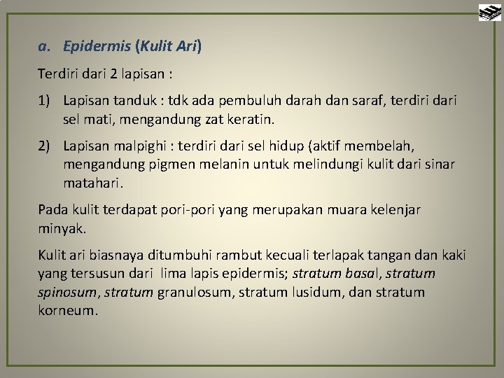 a. Epidermis (Kulit Ari) Terdiri dari 2 lapisan : 1) Lapisan tanduk : tdk