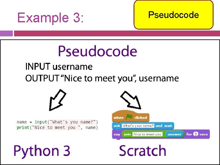 Example 3: Pseudocode 
