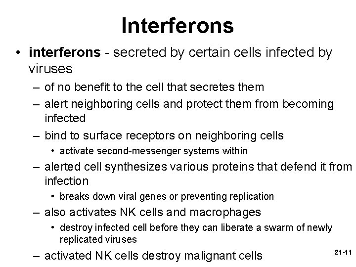Interferons • interferons - secreted by certain cells infected by viruses – of no