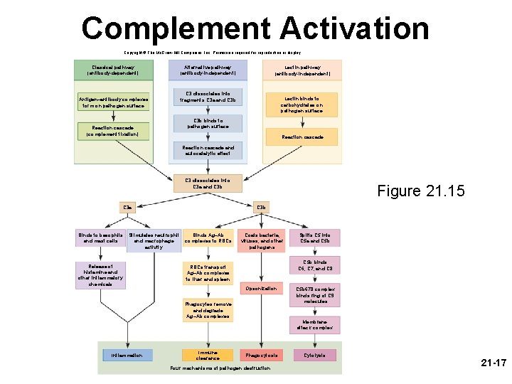 Complement Activation Copyright © The Mc. Graw-Hill Companies, Inc. Permission required for reproduction or