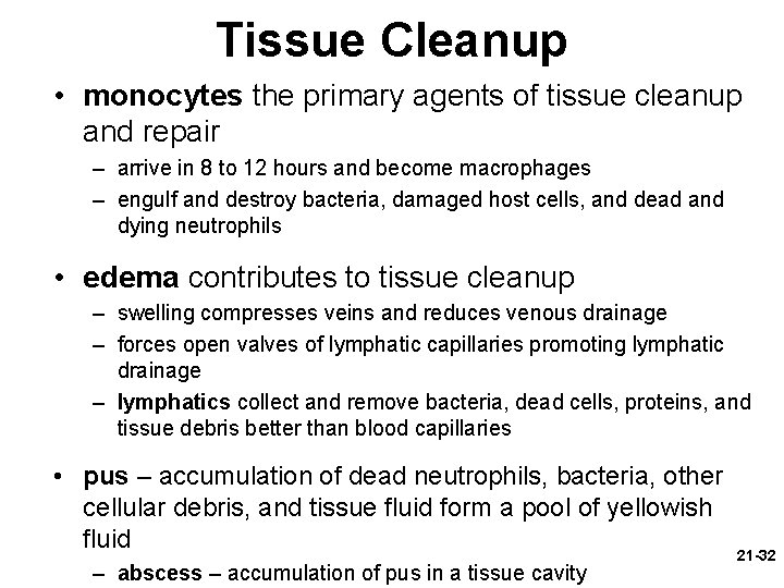 Tissue Cleanup • monocytes the primary agents of tissue cleanup and repair – arrive