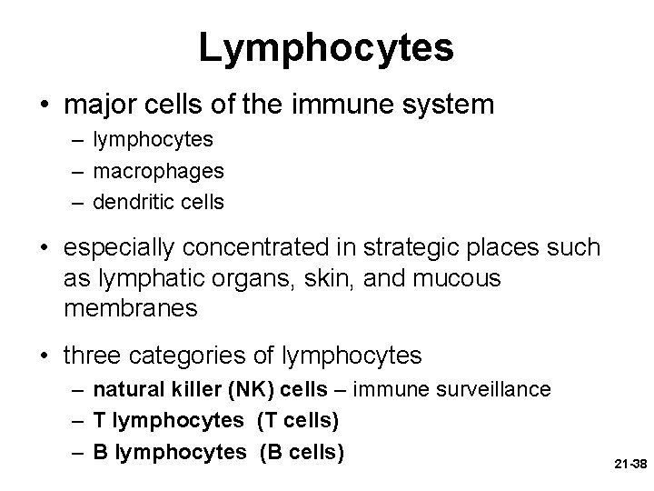 Lymphocytes • major cells of the immune system – lymphocytes – macrophages – dendritic