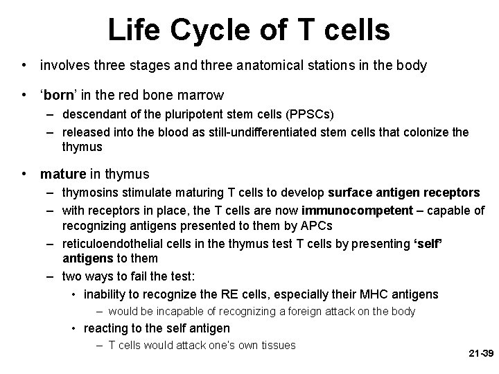 Life Cycle of T cells • involves three stages and three anatomical stations in