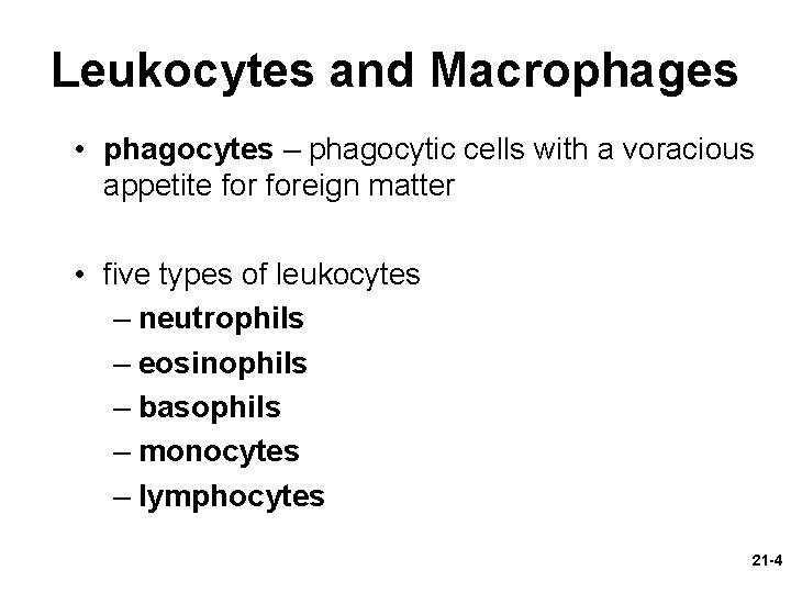Leukocytes and Macrophages • phagocytes – phagocytic cells with a voracious appetite foreign matter