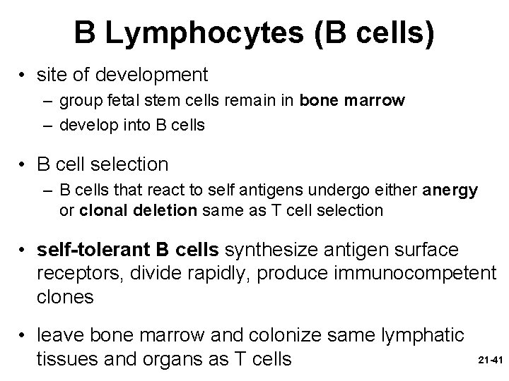 B Lymphocytes (B cells) • site of development – group fetal stem cells remain