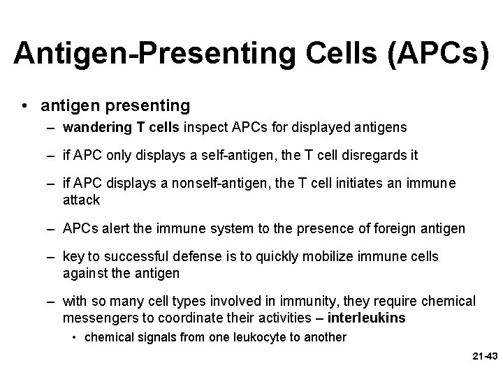 Antigen-Presenting Cells (APCs) • antigen presenting – wandering T cells inspect APCs for displayed