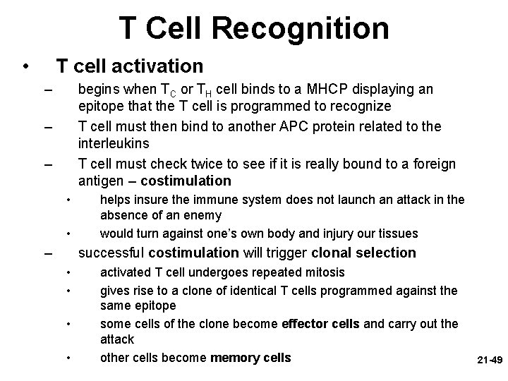 T Cell Recognition • T cell activation – begins when TC or TH cell