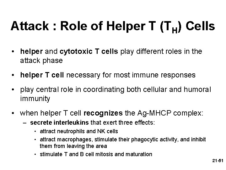 Attack : Role of Helper T (TH) Cells • helper and cytotoxic T cells