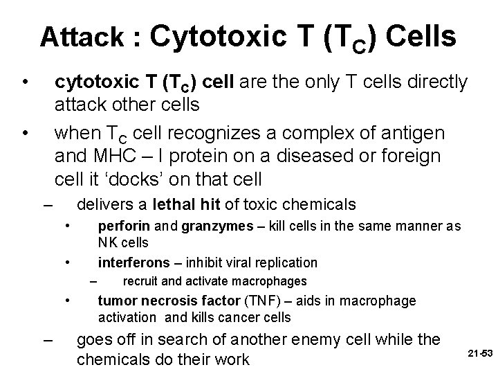 Attack : Cytotoxic T (TC) Cells • cytotoxic T (TC) cell are the only