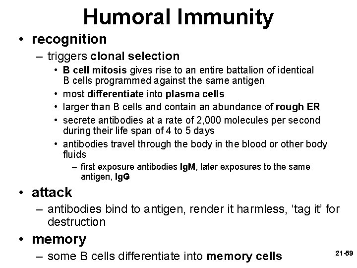 Humoral Immunity • recognition – triggers clonal selection • B cell mitosis gives rise
