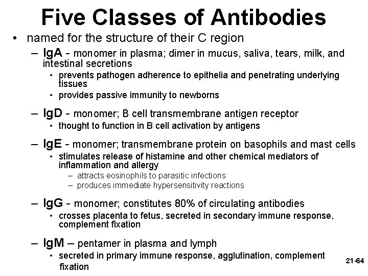 Five Classes of Antibodies • named for the structure of their C region –