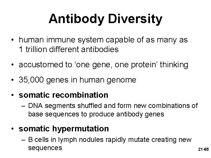 Antibody Diversity • human immune system capable of as many as 1 trillion different