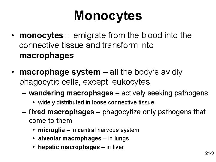 Monocytes • monocytes - emigrate from the blood into the connective tissue and transform