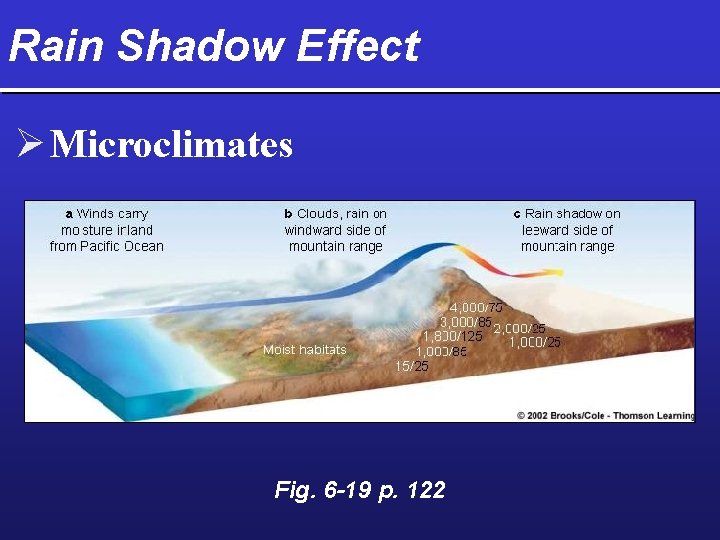 Rain Shadow Effect Ø Microclimates Fig. 6 -19 p. 122 
