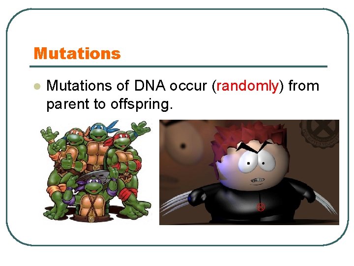 Mutations l Mutations of DNA occur (randomly) from parent to offspring. 
