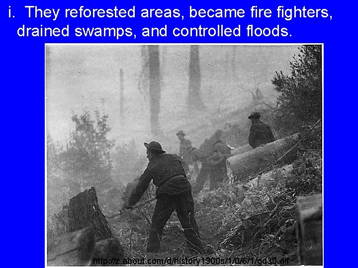 i. They reforested areas, became fire fighters, drained swamps, and controlled floods. http: //z.