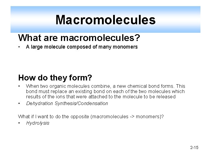 Macromolecules What are macromolecules? • A large molecule composed of many monomers How do