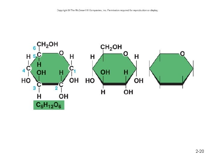 Structure of Glucose 2 -20 