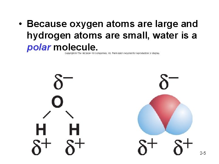  • Because oxygen atoms are large and hydrogen atoms are small, water is
