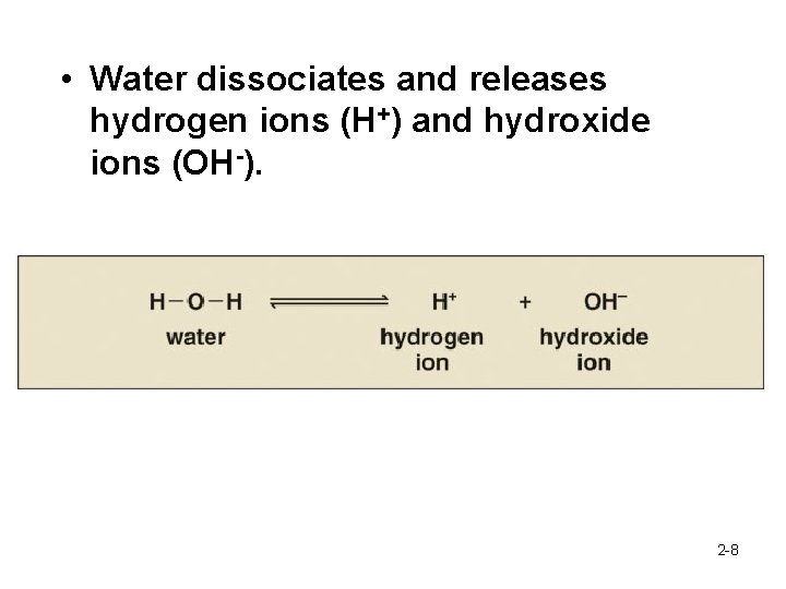  • Water dissociates and releases hydrogen ions (H+) and hydroxide ions (OH-). 2